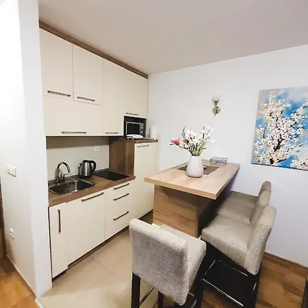 U 154 - Vucko Apartment 4*